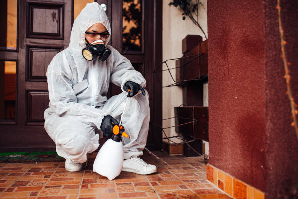 Reliable Cockroach Control contractor in Greensburg, LA by Nex Pest Control