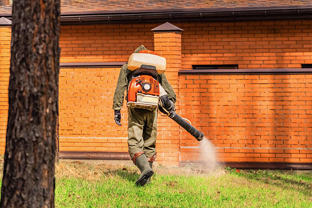 Trusted Emergency Pest Control service in Greensburg, LA - Nex Pest Control